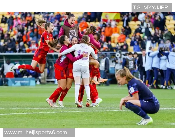 2014年世界杯决赛回顾荷兰与西班牙的经典对决与历史意义分析